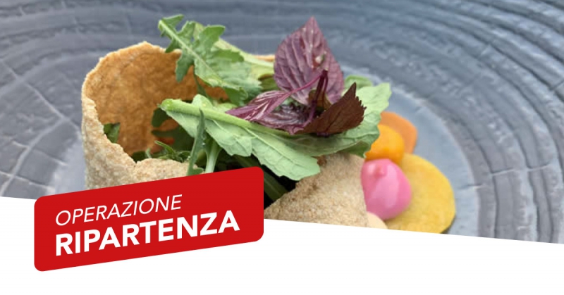 waveco®: viaggio nell’Italia che cucina. La maturazione spinta© riduce i tempi in cucina