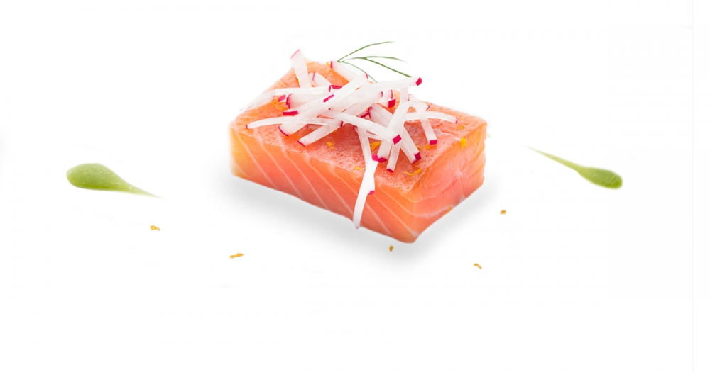 waveco® recipes: marinated salmon with wild fennel emulsion