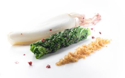 waveco® ricette: calamaro scottato con olio al pepe rosa