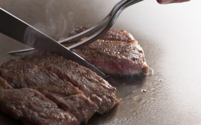 Carne di cavallo: gli ultrasuoni della maturazione spinta© aumentano la tenerezza. Cosa dicono i test universitari